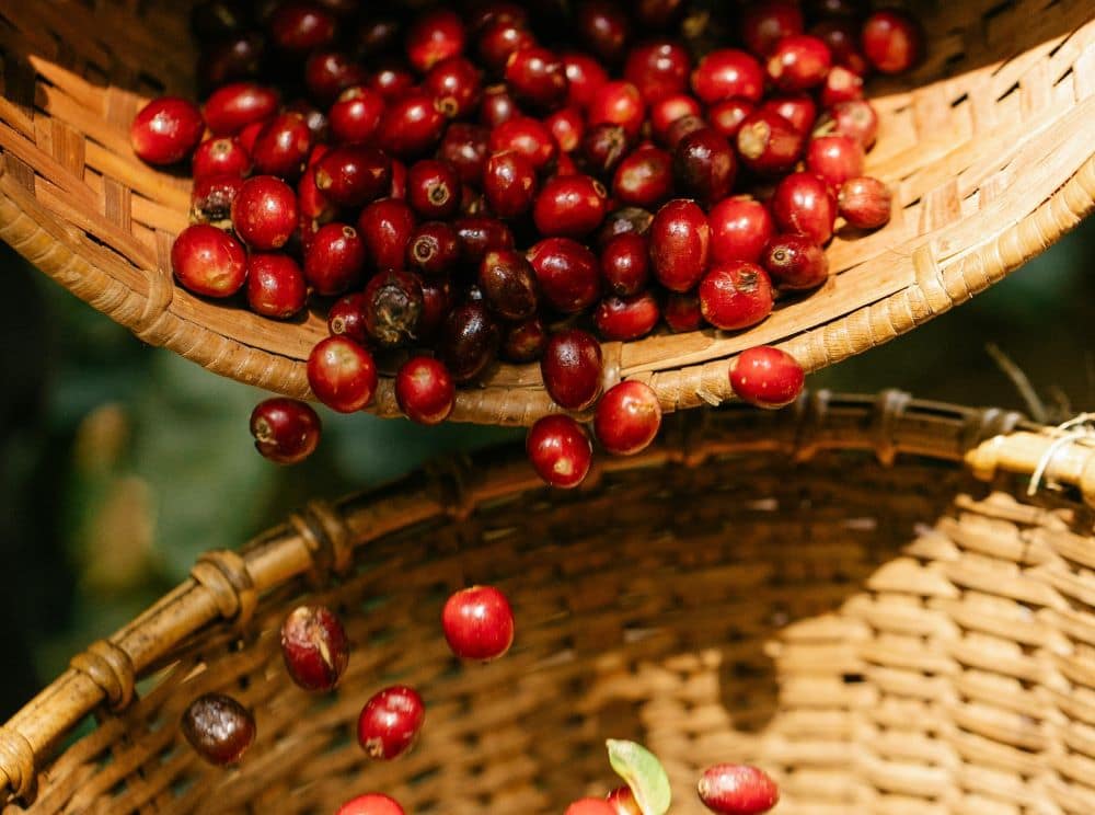 A basket of red berries
AI-generated content may be incorrect.