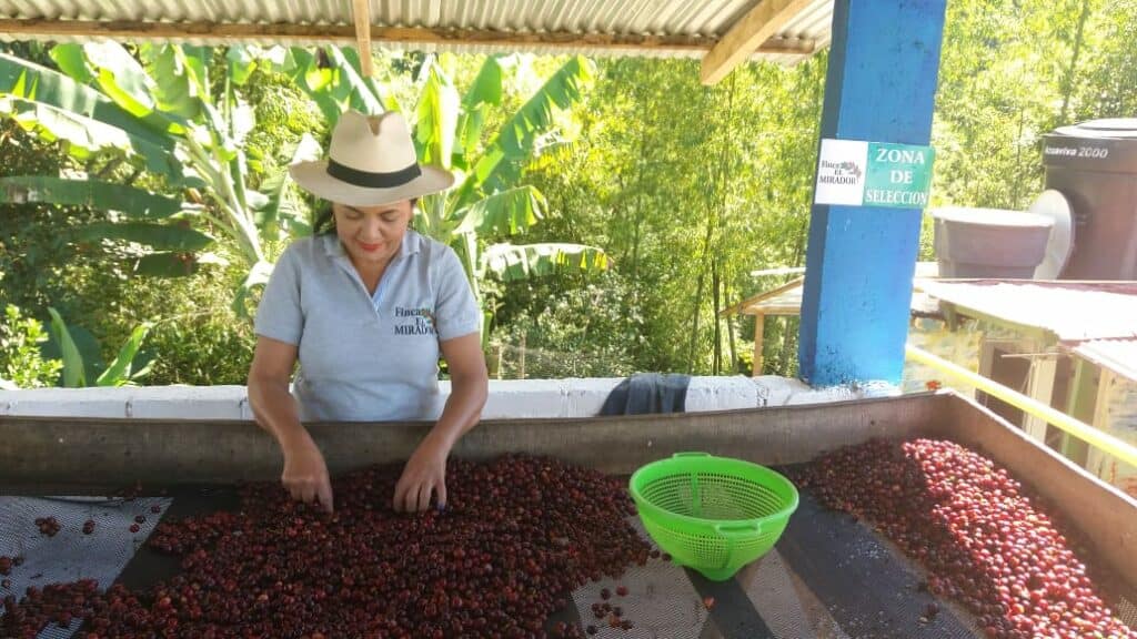 A person in a hat working on a drying rack
AI-generated content may be incorrect.