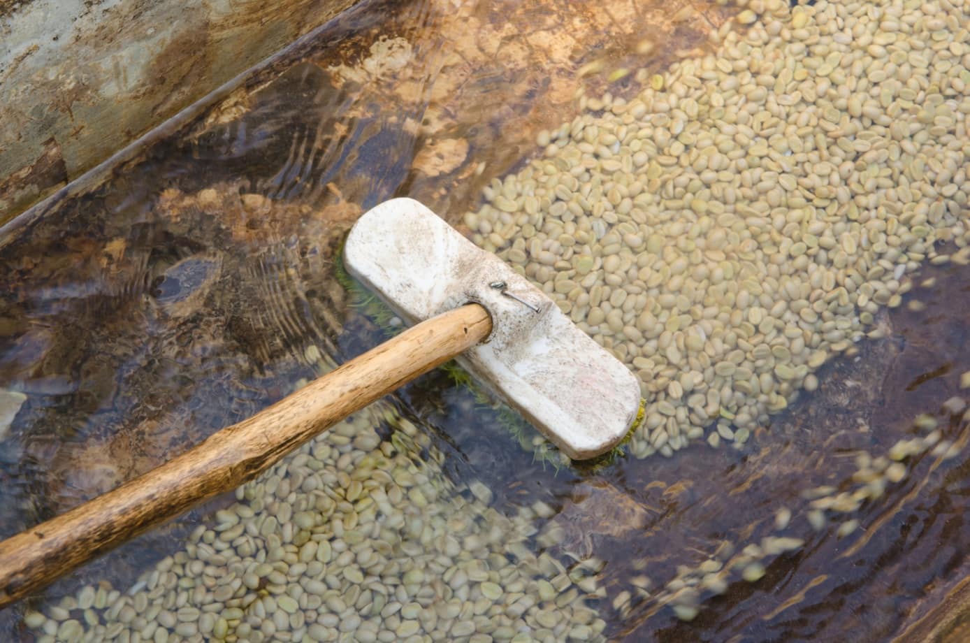 A mop in the water
AI-generated content may be incorrect.