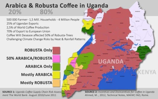 robusta-arabica-split-uganda.jpg