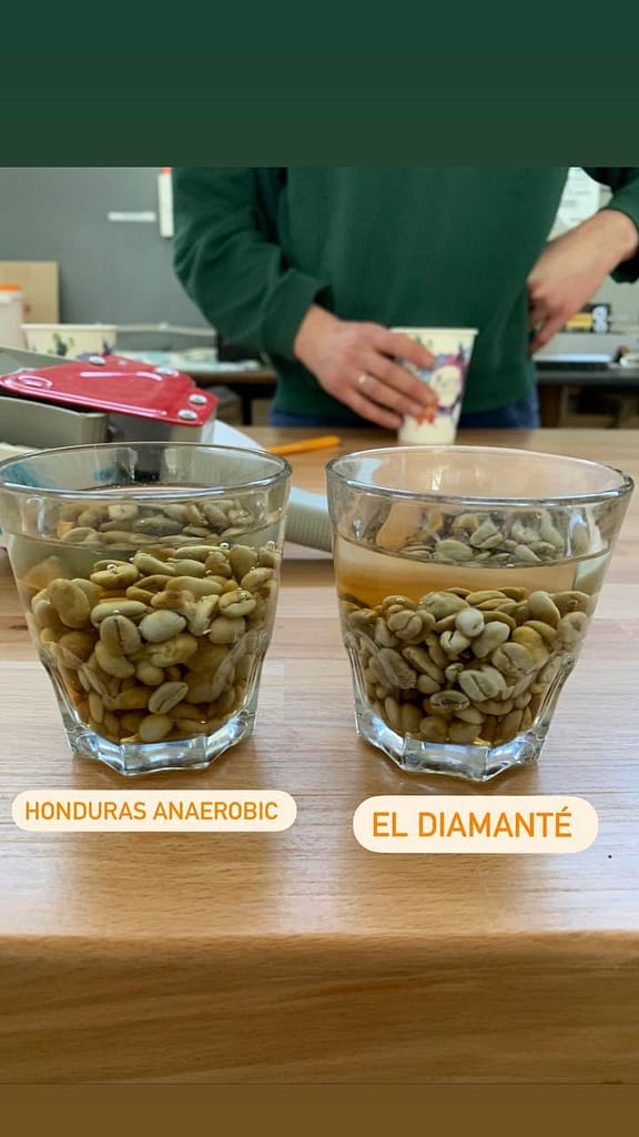 photo_2021-11-21 12.22.55.jpeg