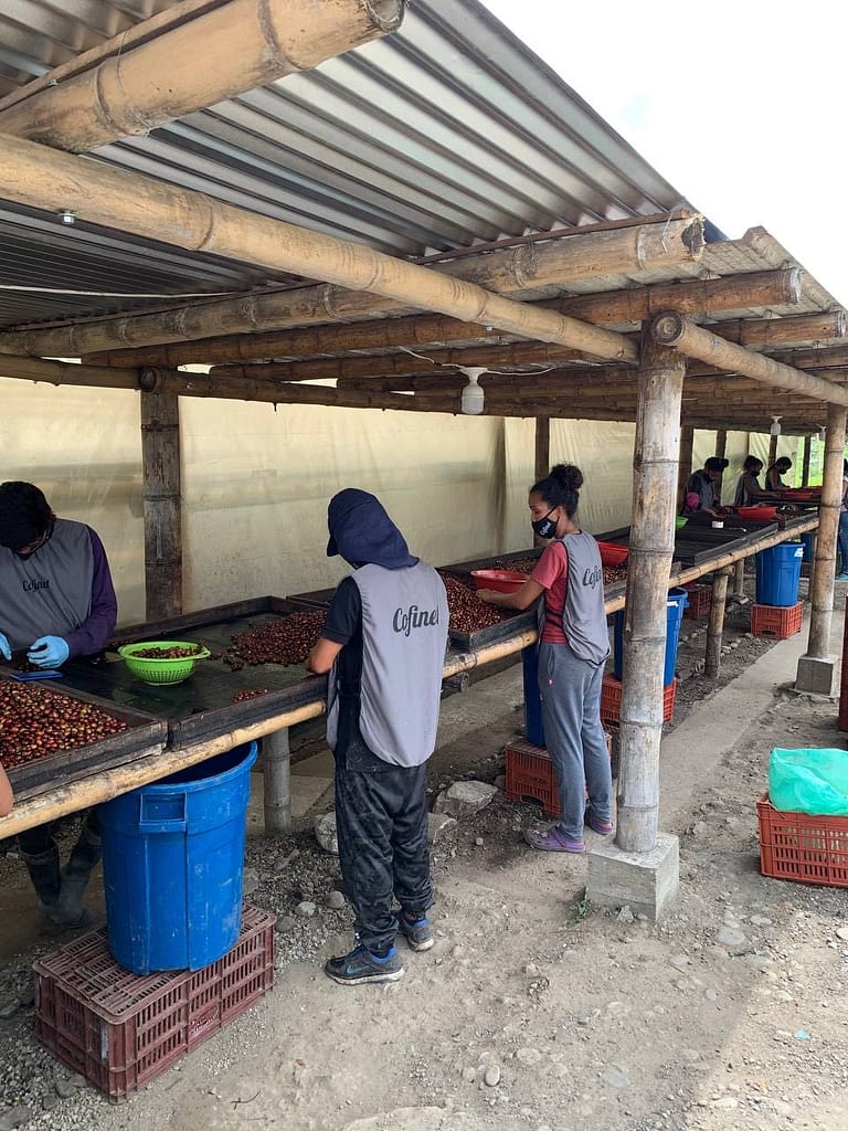 photo_2021-11-21 12.23.09.jpeg