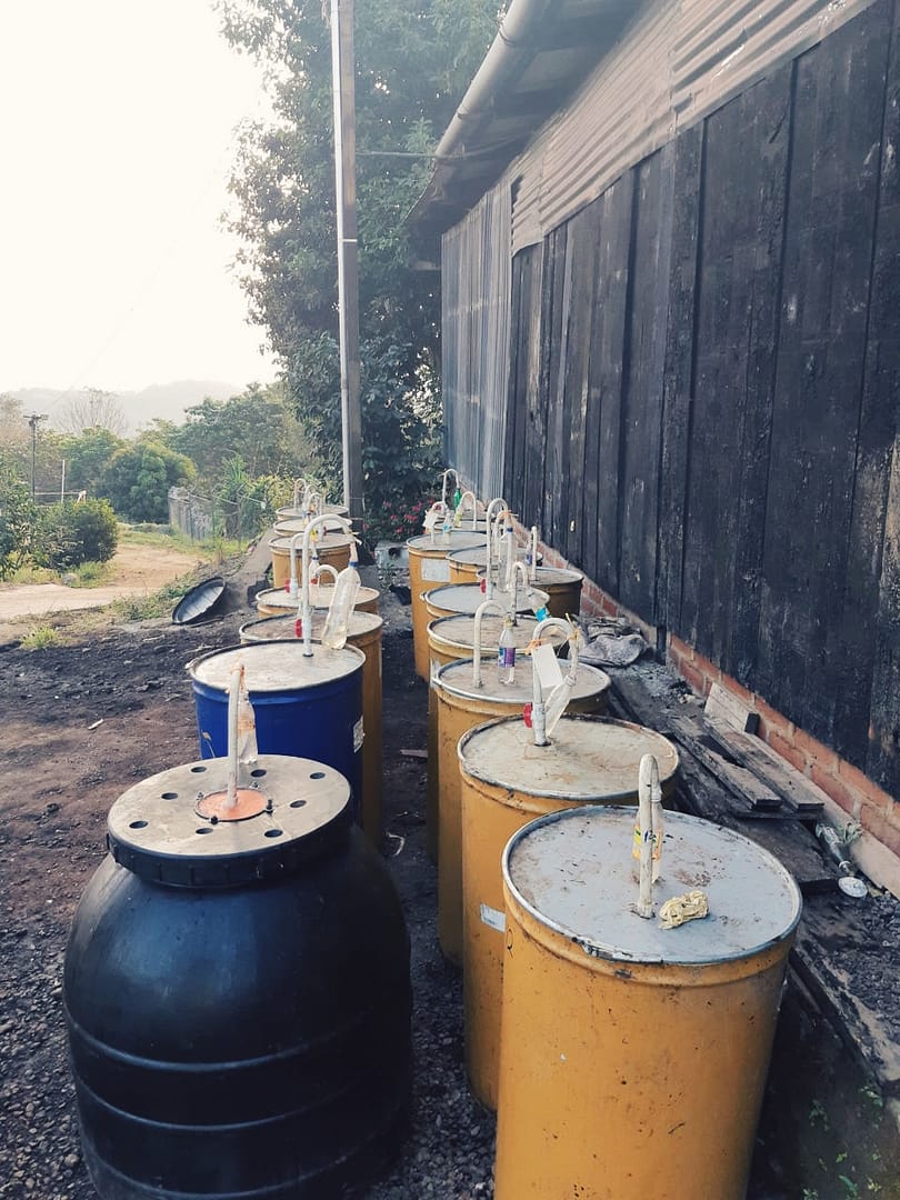 A group of barrels outside a building
AI-generated content may be incorrect.